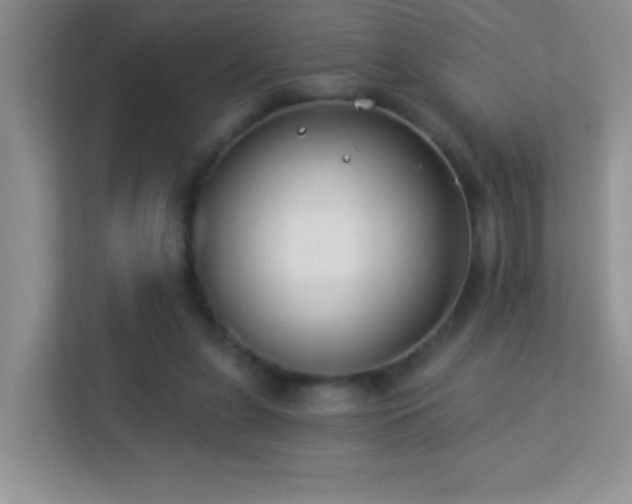 X0000113900255200909241443