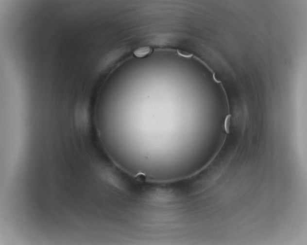 X0000113900256200909241443