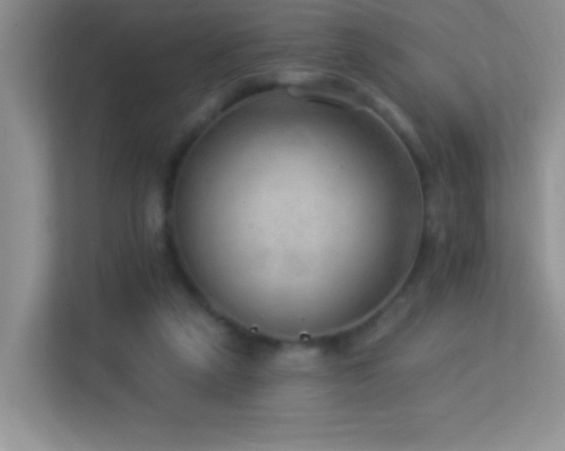 X0000113900257200909241443