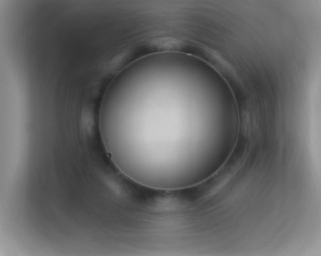 X0000113900259200909241443