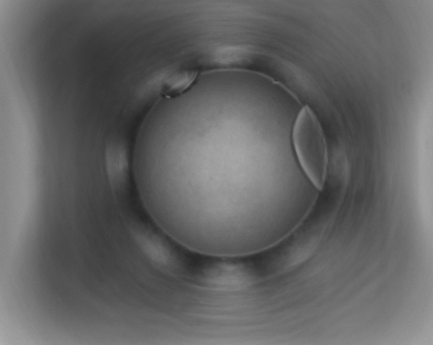 X0000113900260200909241443