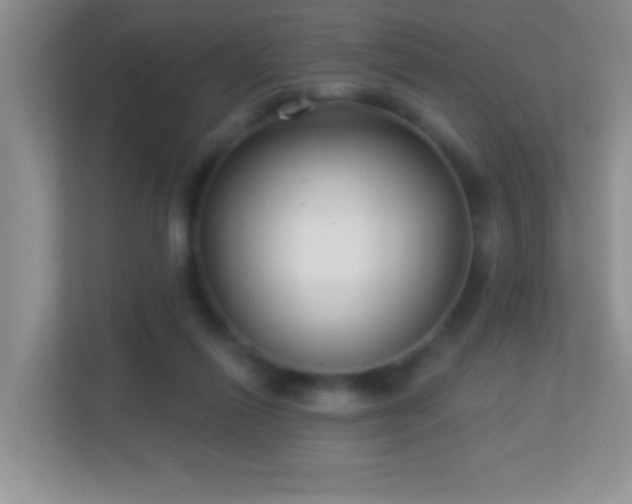 X0000113900262200909241443