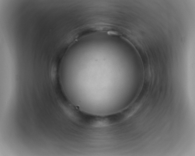 X0000113900263200909241443