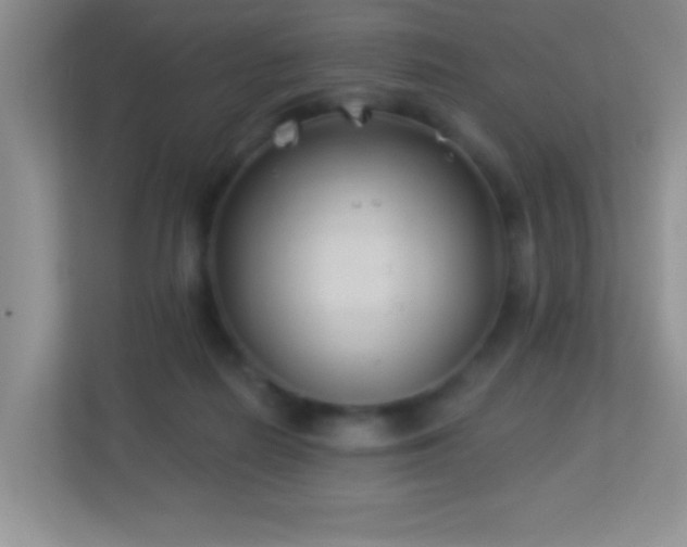 X0000113900266200909241443