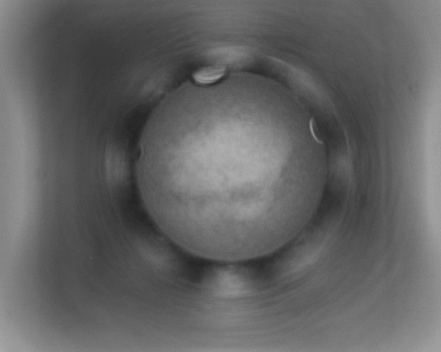 X0000113900268200909241443