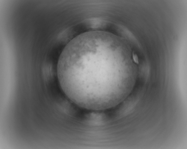 X0000113900272200909241443