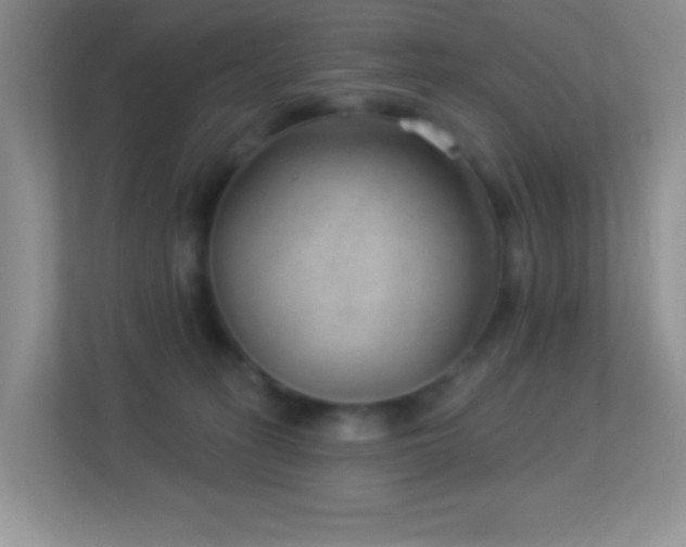 X0000113900275200909241443