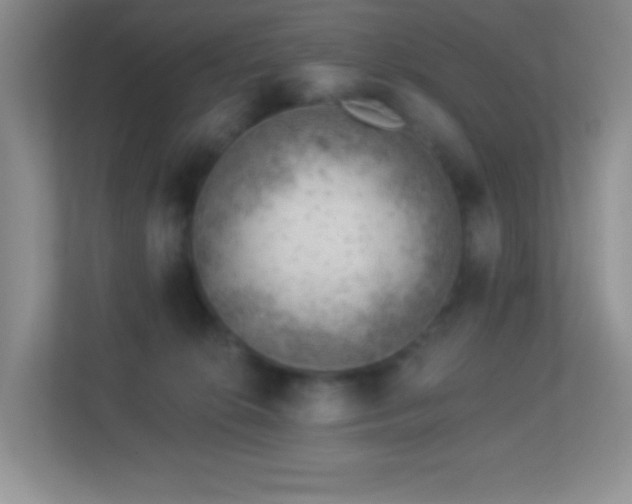 X0000113900276200909241443