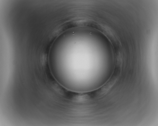 X0000113900278200909241443