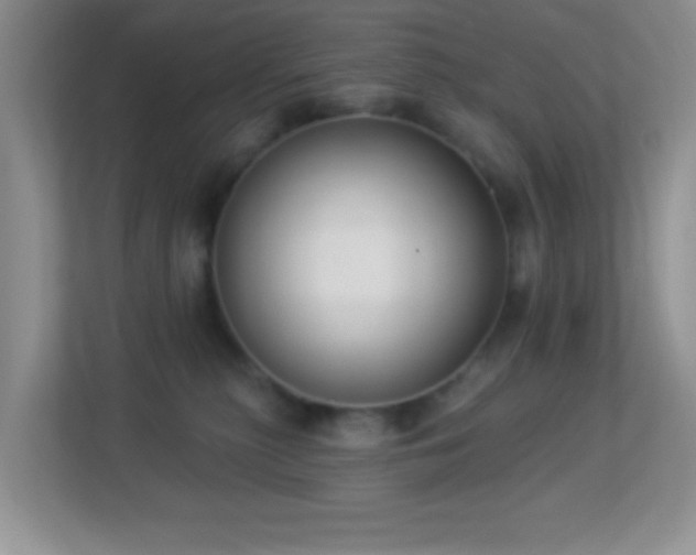 X0000113900279200909241443