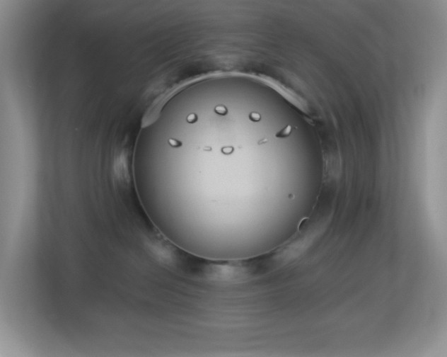 X0000113900286200909241443