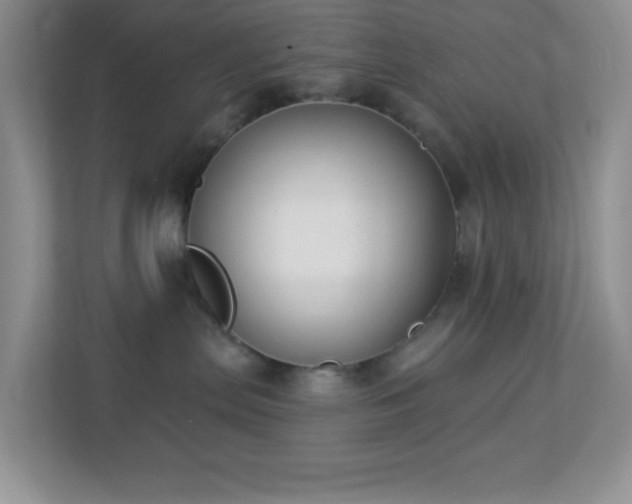 X0000113900287200909241443