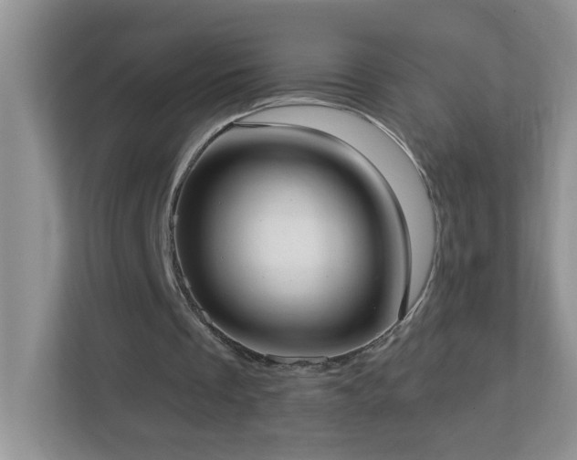 X0000113900289200909241443