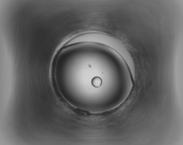 X0000113900292200909241443