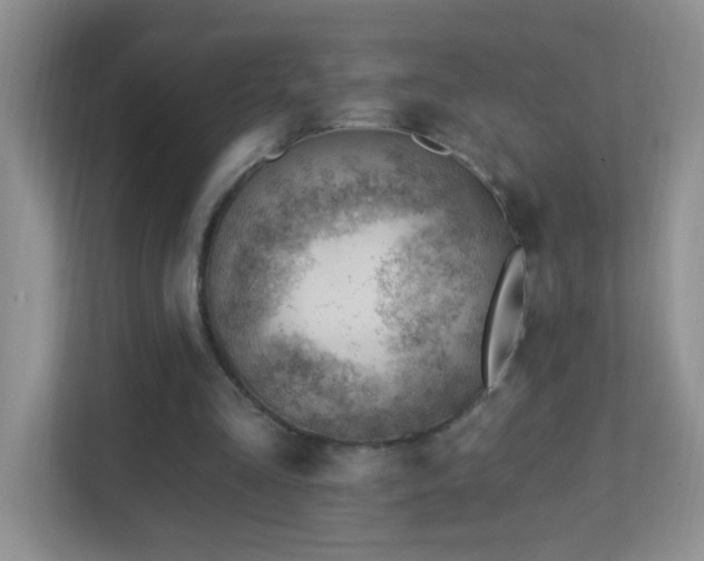 X0000113900293200909241443