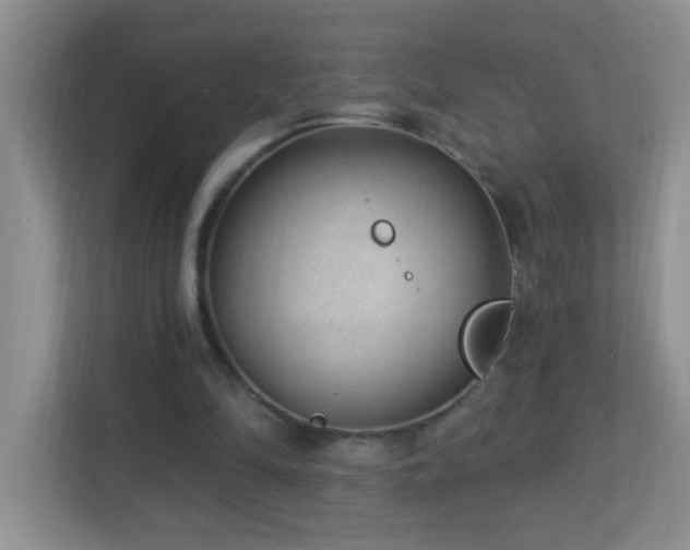 X0000113900294200909241443