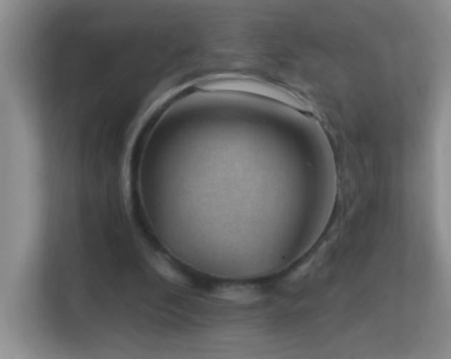 X0000113900296200909241443