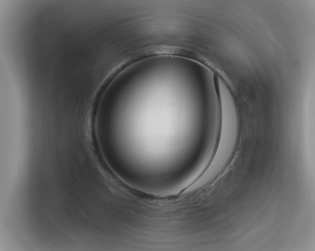 X0000113900297200909241443