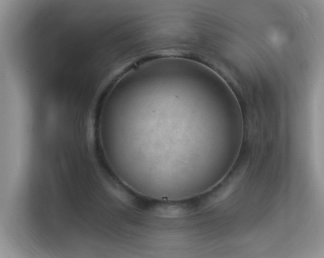 X0000113900299200909241443