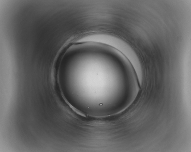 X0000113900300200909241443