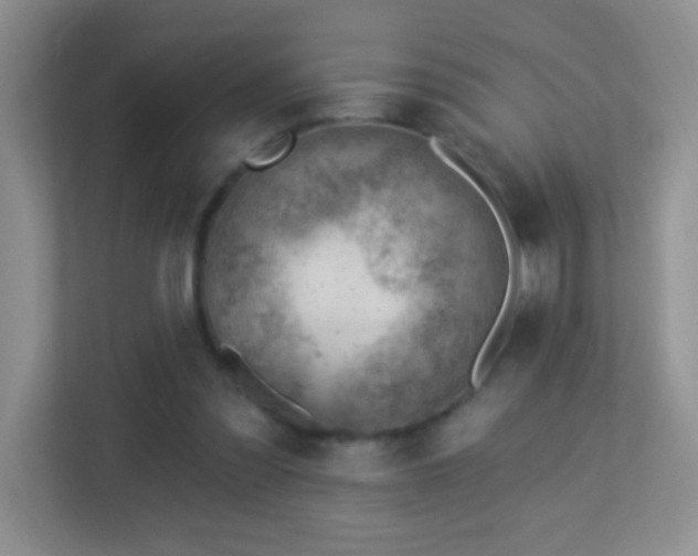 X0000113900301200909241443