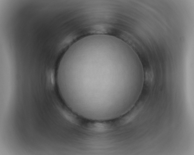 X0000113900302200909241443
