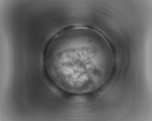 X0000113900303200909241443