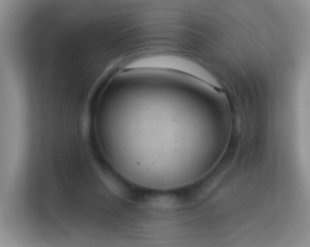 X0000113900304200909241443