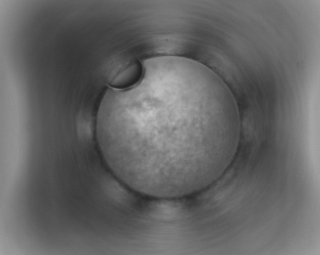 X0000113900305200909241442