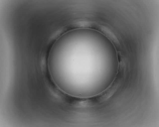 X0000113900306200909241442