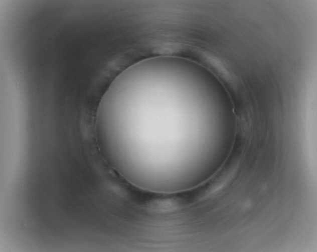 X0000113900307200909241442