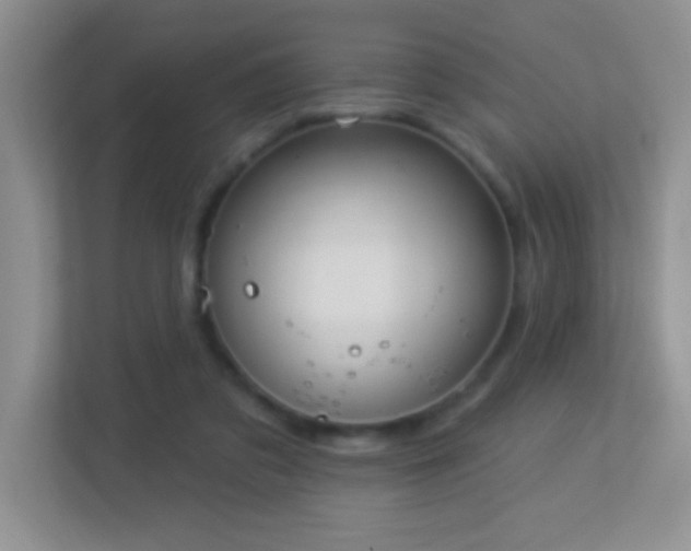 X0000113900309200909241442