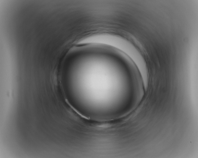 X0000113900313200909241442