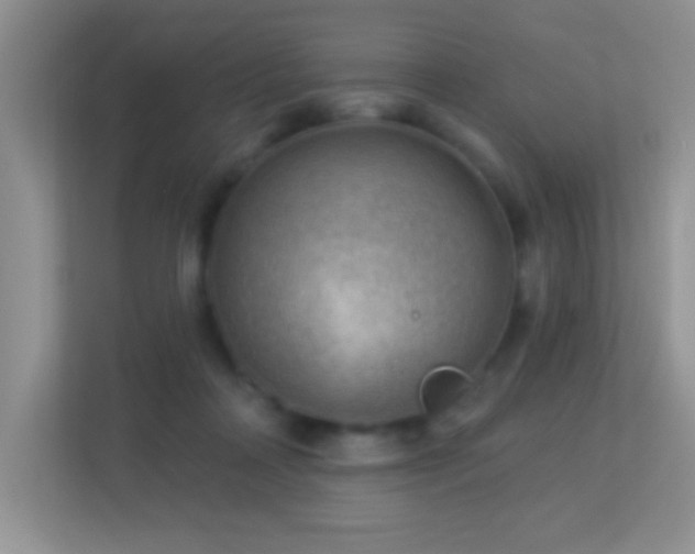 X0000113900314200909241442