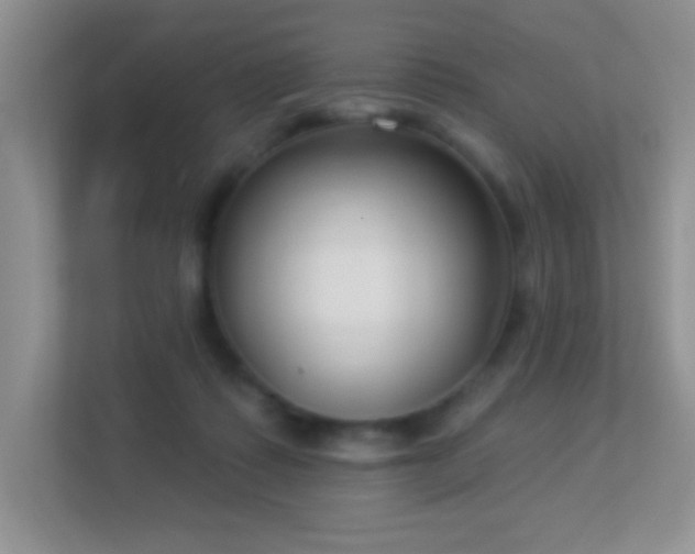 X0000113900315200909241442
