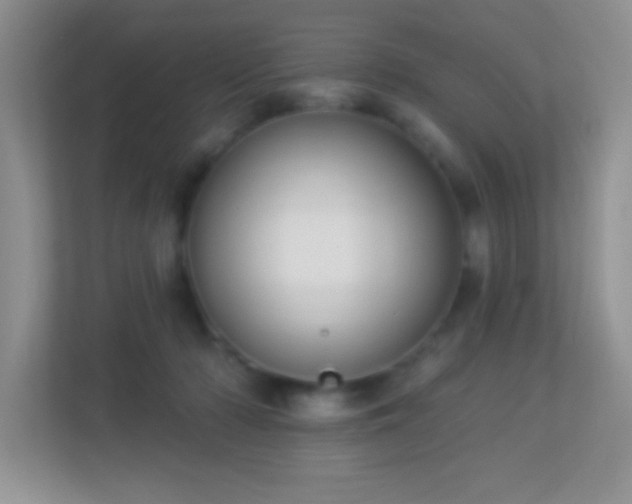 X0000113900318200909241442