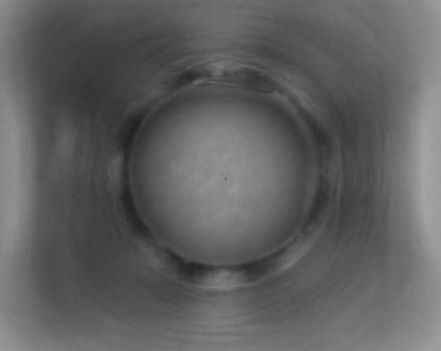X0000113900319200909241442