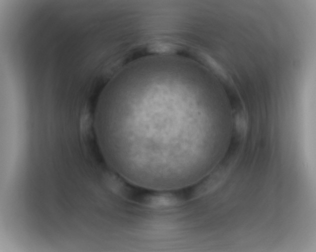 X0000113900322200909241442