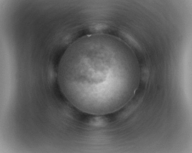 X0000113900324200909241442