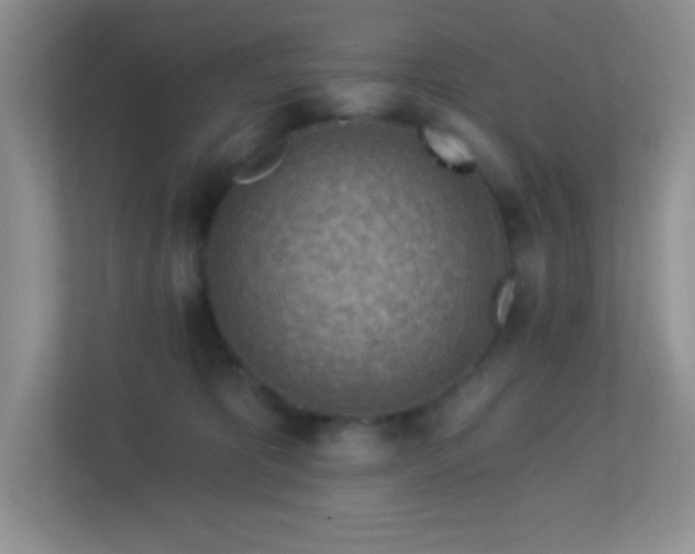 X0000113900325200909241442