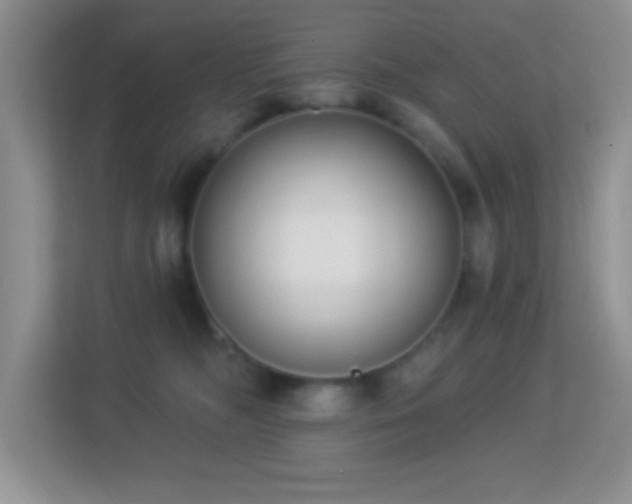 X0000113900326200909241442