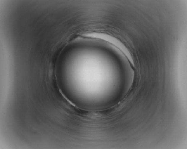 X0000113900328200909241442
