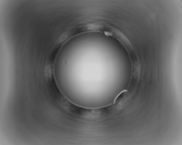X0000113900329200909241442