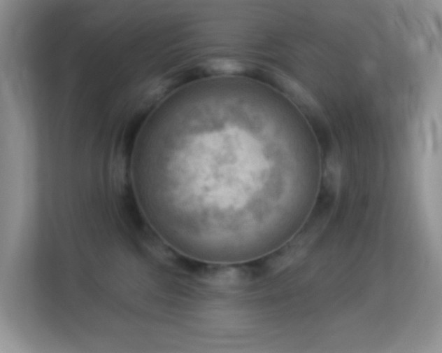 X0000113900330200909241442