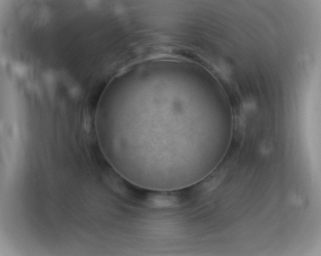 X0000113900331200909241442