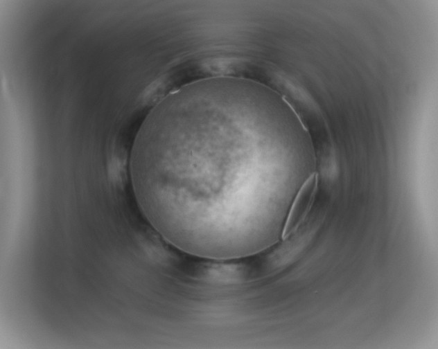X0000113900332200909241442