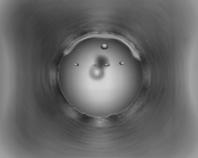 X0000113900333200909241442