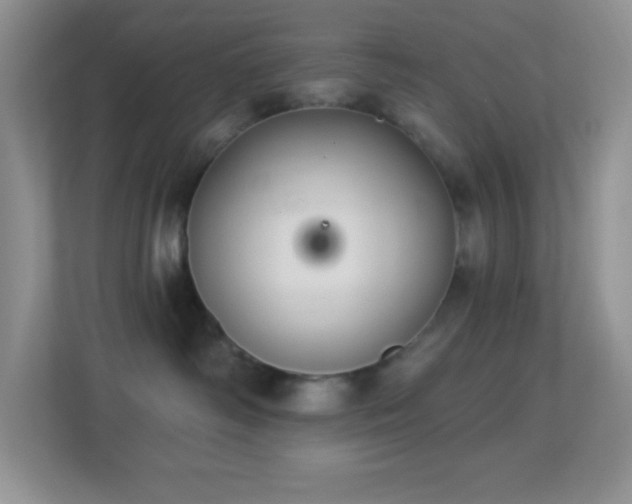 X0000113900334200909241442