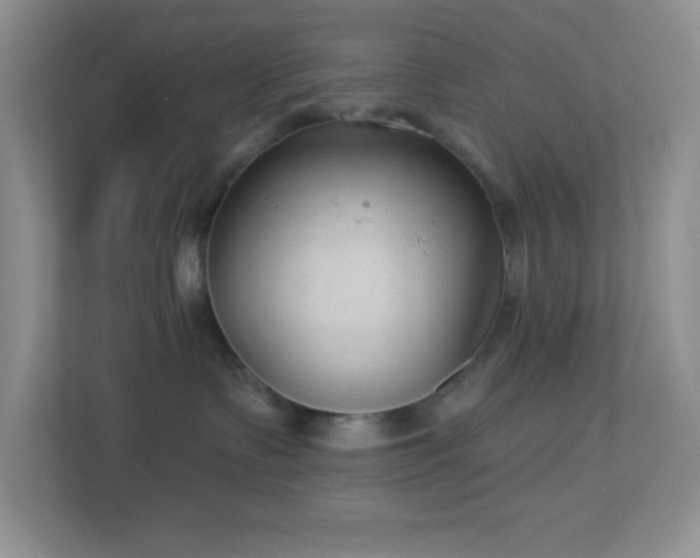 X0000113900335200909241442