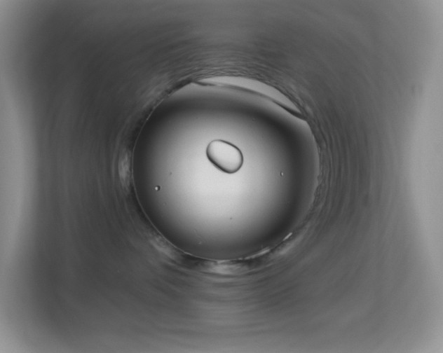 X0000113900336200909241442